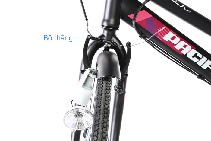 Xe Đạp Đường Phố City Pacific Ravella XT 26 inch Màu Đen hồng