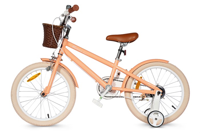 Xe Đạp Trẻ Em Royal Baby RB18B-6-3 18 inch Màu Cam