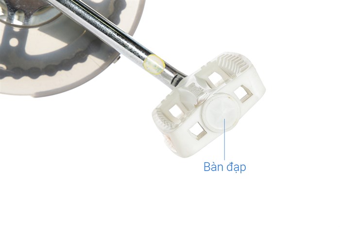 Xe Đạp Trẻ Em Royal Baby RB20B-6-3 20 inch Màu Xanh Dương