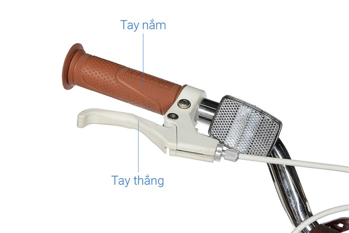 Xe Đạp Trẻ Em Royal Baby RB20B-6-3 20 inch Màu Xanh Dương