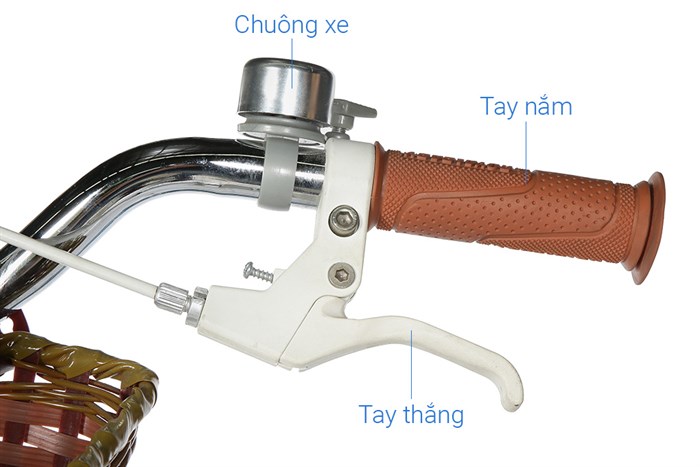 Xe Đạp Trẻ Em Royal Baby RB20B-6-3 20 inch Màu Xanh Dương