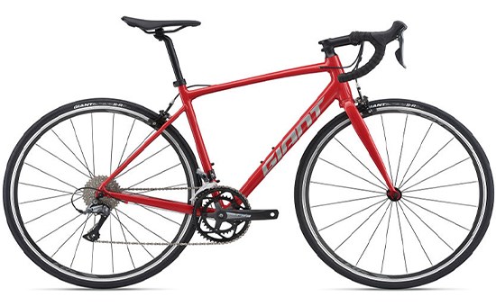 Xe Đạp Thể Thao Road Giant Contend 3 29 inch Size M