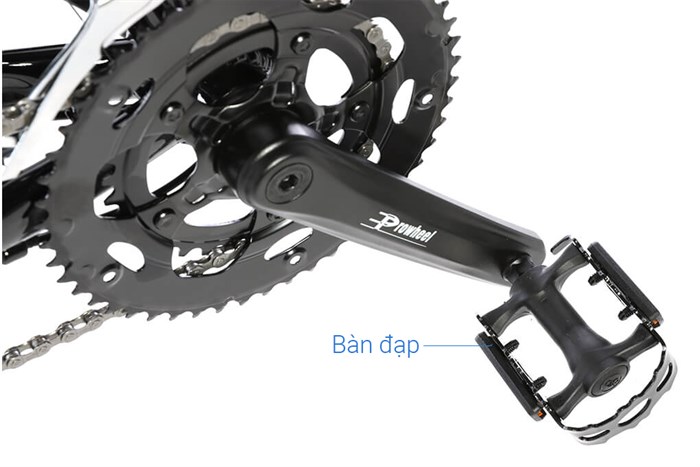 Xe Đạp Thể Thao Road Java 700C-Veloce-D 700C Size XS