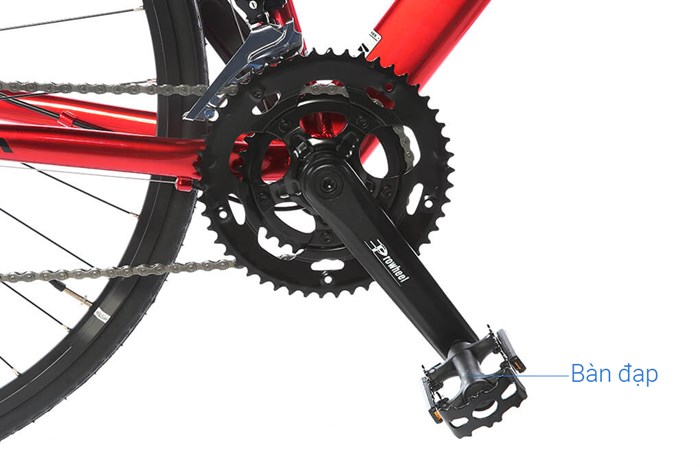 Xe Đạp Thể Thao Road Java 700C-Veloce-D 700C Size XS