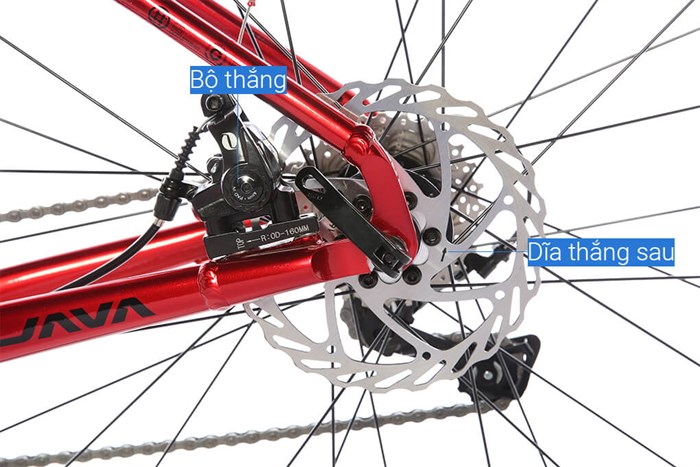 Xe Đạp Thể Thao Road Java 700C-Veloce-D 700C Size XS