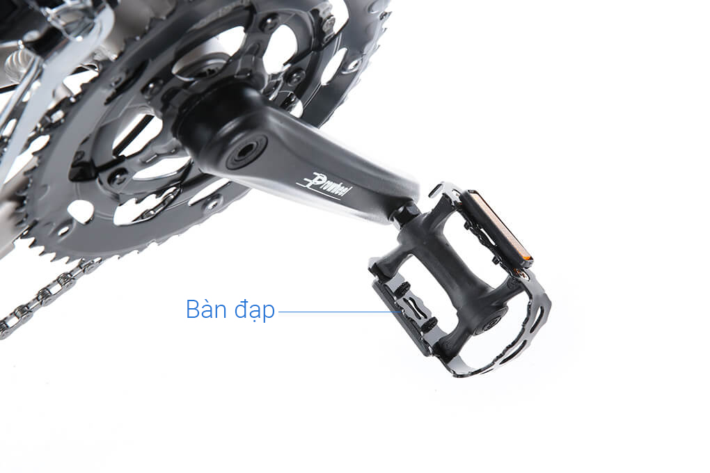 Xe Đạp Thể Thao Road Java 700C-Veloce-D 700C Size S