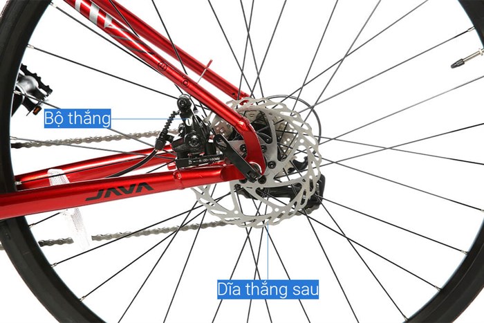 Xe Đạp Thể Thao Road Java 700C-Veloce-D 700C Size S