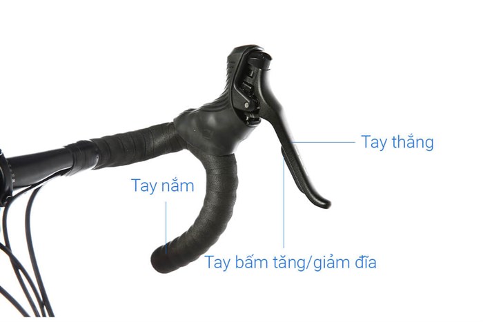 Xe Đạp Thể Thao Road Java 700C-Veloce-D 700C Size S