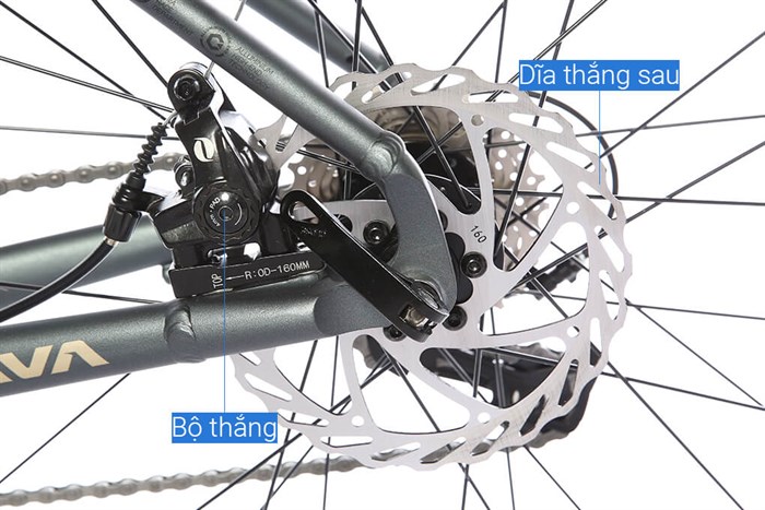 Xe Đạp Thể Thao Road Java 700C-Veloce-D 700C Size S