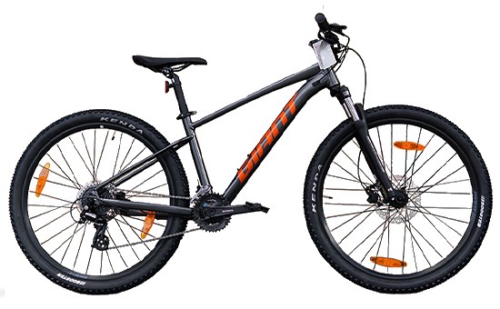 Xe đạp địa hình MTB Giant TALON 3 (2022) 29 inch Size S