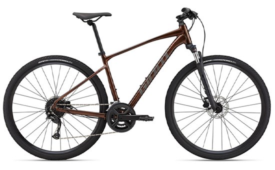 Xe đạp địa hình MTB Giant Roam 2 Disc 29 inch Size S