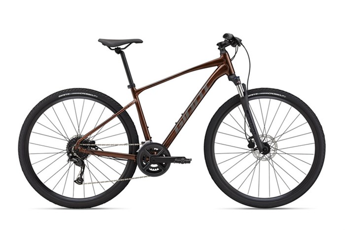Xe đạp địa hình MTB Giant Roam 2 Disc 29 inch Size S