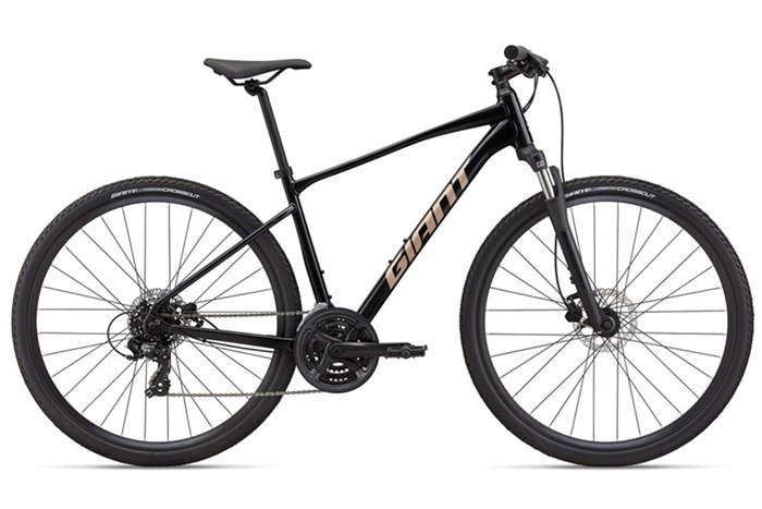 Xe Đạp Địa Hình MTB Giant Roam 4 Disc (2022) 29 inch Size S