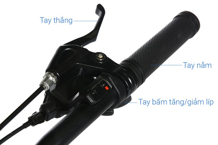 Xe Đạp Địa Hình MTB Giant Rincon 2 (2022) 29 inch Size S