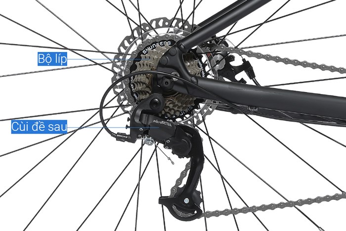 Xe Đạp Địa Hình MTB Giant Rincon 2 (2022) 29 inch Size S