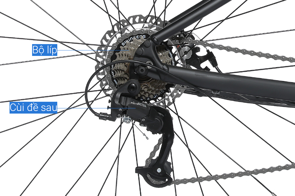 Xe Đạp Địa Hình MTB Giant Rincon 2 (2022) 29 inch Size S