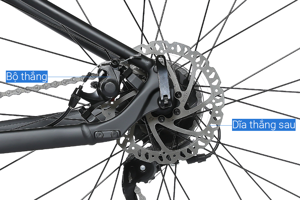 Xe Đạp Địa Hình MTB Giant Rincon 2 (2022) 29 inch Size S