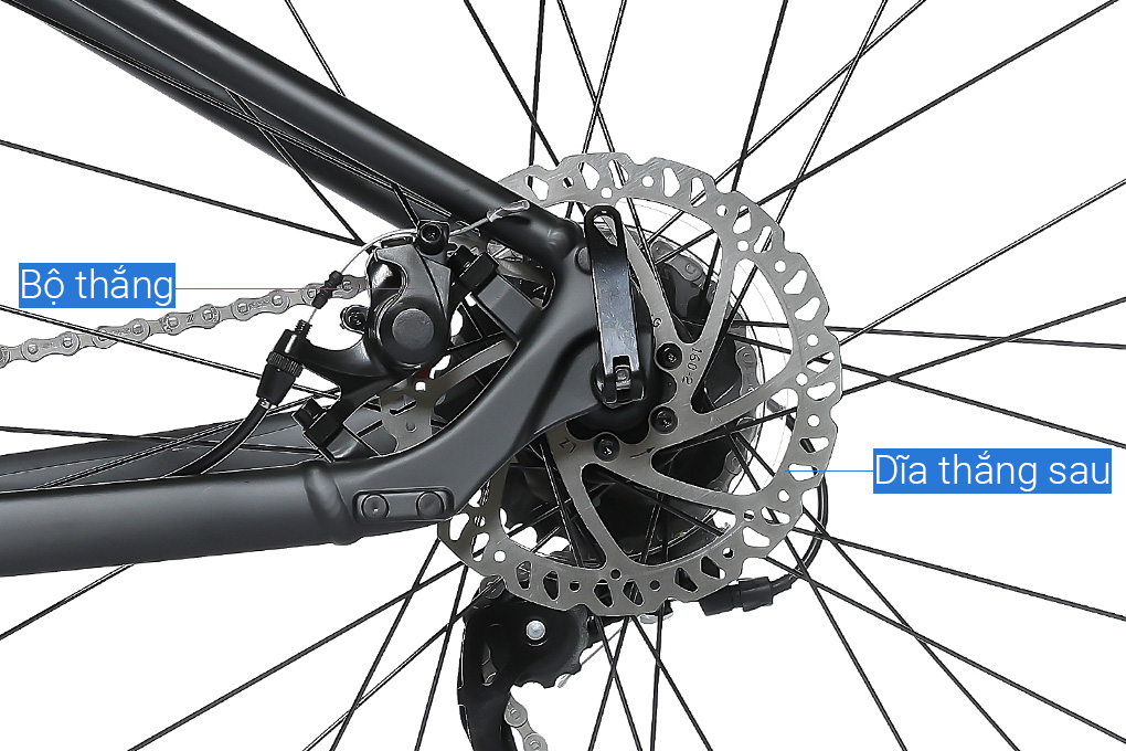 Xe Đạp Địa Hình MTB Giant Rincon 2 (2022) 29 inch Size M