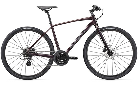 Xe Đạp Đường Phố Touring Giant Escape 2 Disc (2022) 29 inch Size M