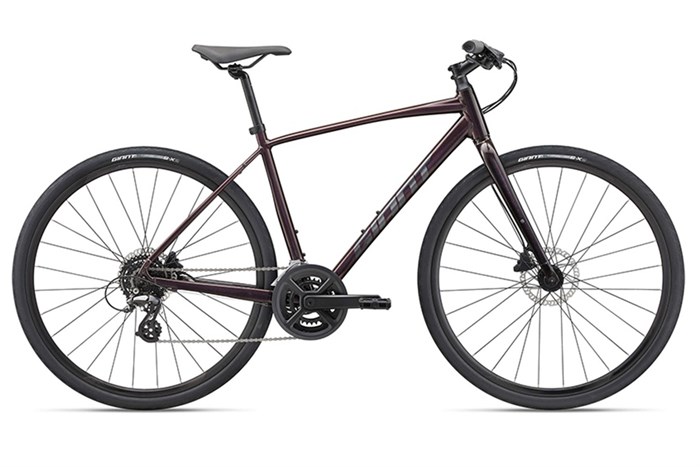 Xe Đạp Đường Phố Touring Giant Escape 2 Disc (2022) 29 inch Size M