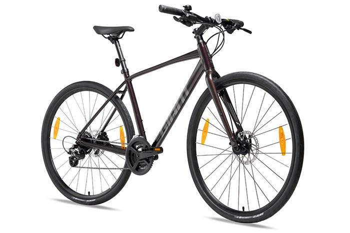 Xe Đạp Đường Phố Touring Giant Escape 2 Disc (2022) 29 inch Size M