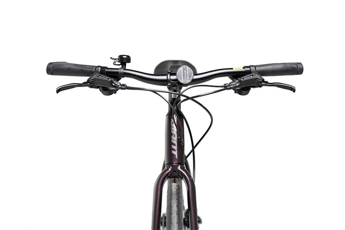 Xe Đạp Đường Phố Touring Giant Escape 2 Disc (2022) 29 inch Size M