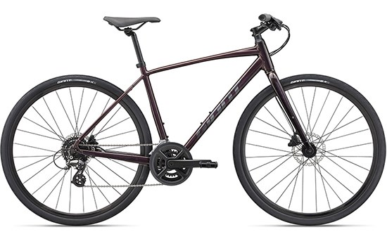 Xe Đạp Đường Phố Touring Giant Escape 2 Disc (2022) 29 inch Size S