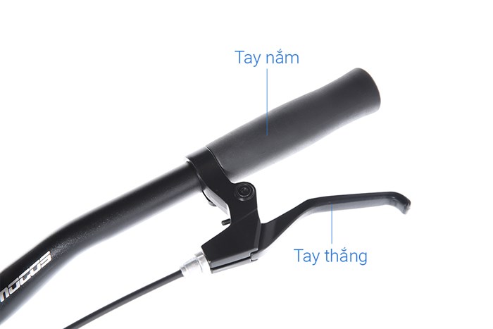 Xe Đạp Đường Phố Touring Mocos HK17C08 29 inch Màu Đen Xanh