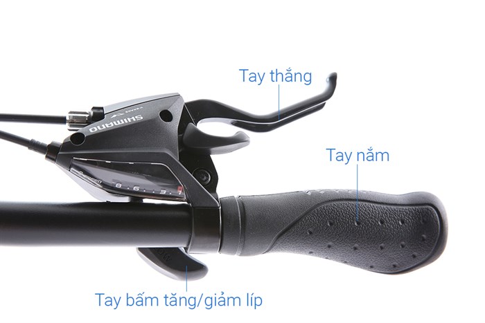 Xe Đạp Đường Phố City Mocos HK17C11 29 inch Màu Vàng