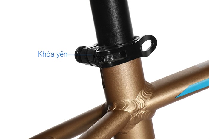 Xe Đạp Địa Hình MTB Exotic 2618 AF 26 inch Màu Vàng đồng