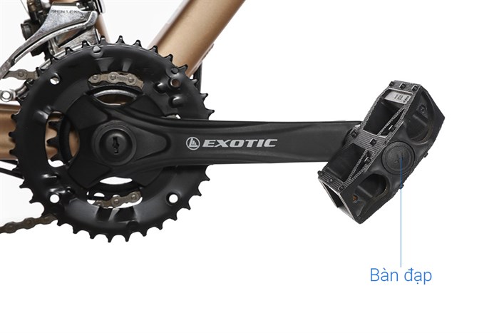 Xe Đạp Địa Hình MTB Exotic 2618 AF 26 inch Màu Vàng đồng