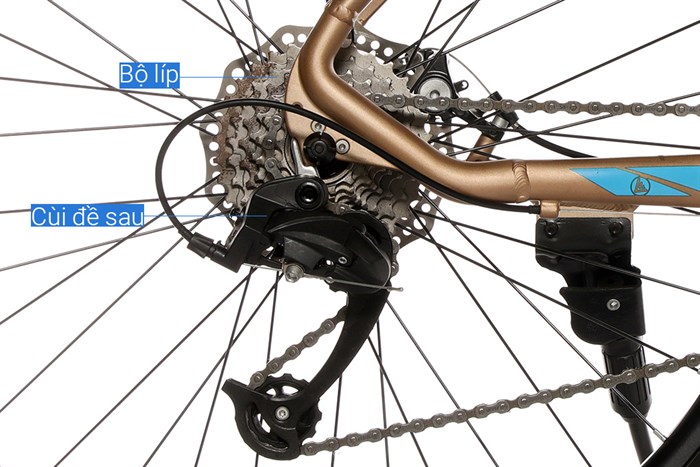 Xe Đạp Địa Hình MTB Exotic 2618 AF 26 inch Màu Vàng đồng