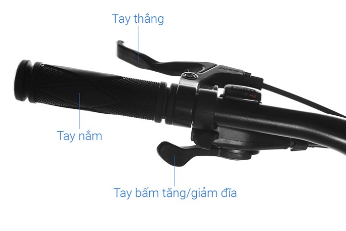 Xe Đạp Địa Hình MTB Exotic 2618 AF 26 inch Màu Vàng đồng