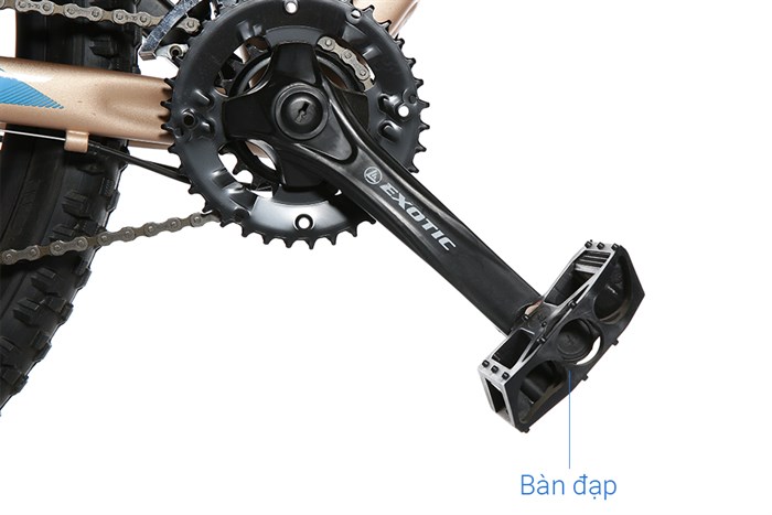 Xe Đạp Địa Hình MTB Exotic 2618 AF 27.5 inch Màu Vàng đồng