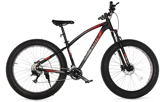 Xe Đạp Địa Hình MTB Exotic 2658 4.0 AHHD 26 inch