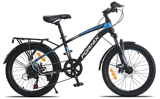 Xe Đạp Trẻ Em MTB Fornix FN20 20 inch Màu Đen - xanh dương