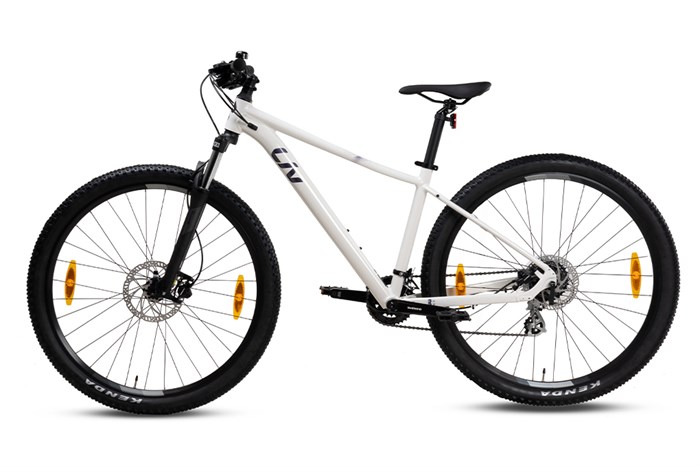 Xe Đạp Địa Hình MTB Giant LIV Tempt 3 (2022) 29 inch Size M