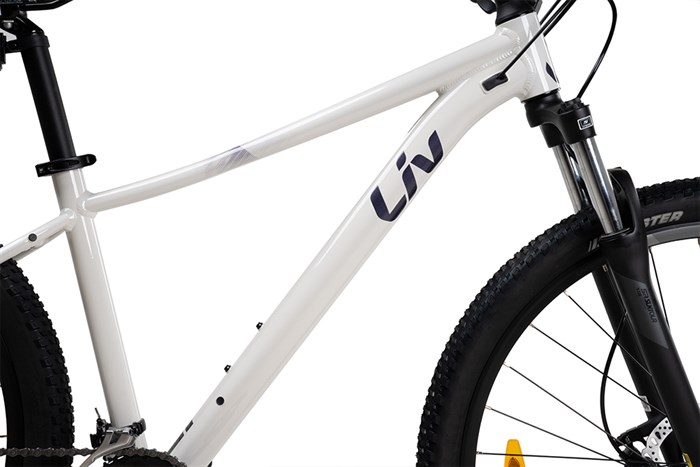 Xe Đạp Địa Hình MTB Giant LIV Tempt 3 (2022) 29 inch Size M