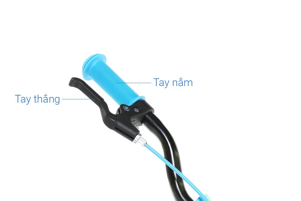 Xe Đạp Trẻ Em AVACycle Happy Fish JK902-18 18 inch Màu Xanh lá