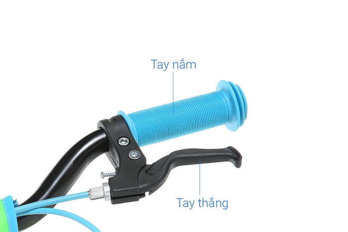 Xe Đạp Trẻ Em AVACycle Happy Fish JK902-18 18 inch Màu Xanh lá