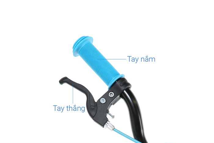 Xe Đạp Trẻ Em AVACycle Happy Fish JY902-14 14 inch Màu Xanh lá