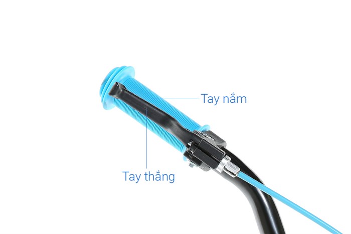 Xe Đạp Trẻ Em AVACycle Happy Fish JY902-16 16 inch Màu Xanh lá