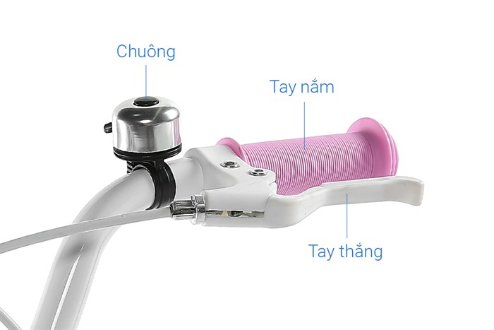 Xe Đạp Trẻ Em AVACycle Basket Bird JY904-14 14 inch Màu Hồng