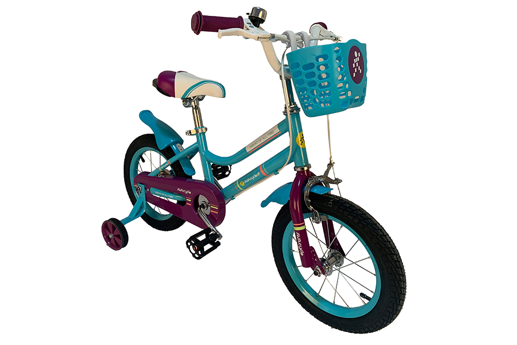 Xe đạp trẻ em avacycle british princess jy904-16 16 inch - ảnh sản phẩm 8