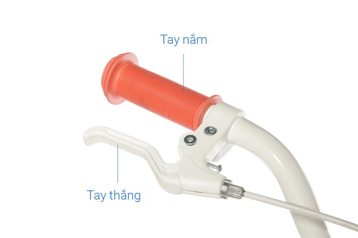 Xe Đạp Trẻ Em AVACycle Flower Fairy JK908-18 18 inch Màu Hồng