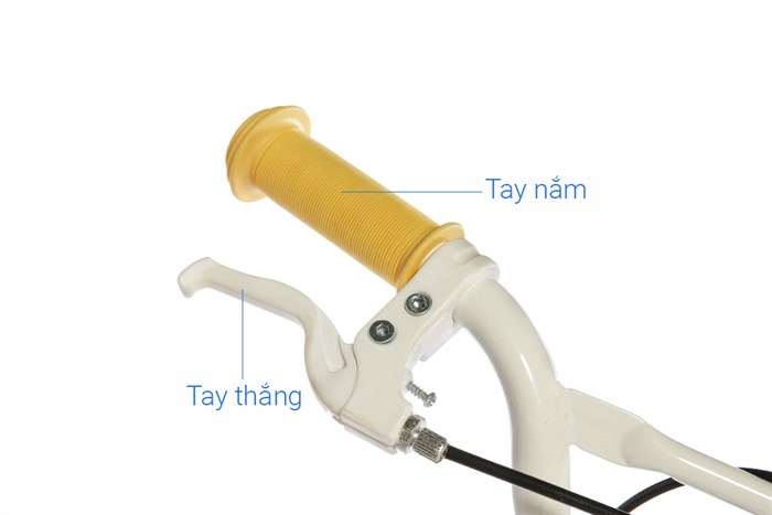 Xe Đạp Trẻ Em AVACycle Flying Fish JY902-14 14 inch Màu Xanh Dương