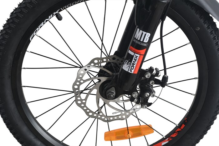 Xe Đạp Trẻ Em Fornix NX20 20 inch Màu Đen - Đỏ