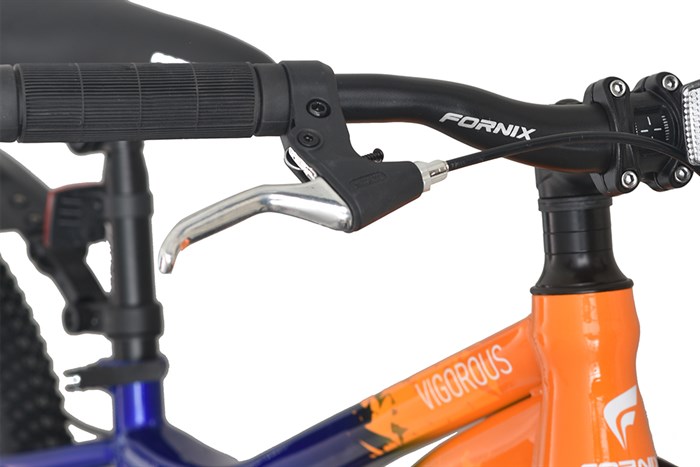 Xe Đạp Trẻ Em Fornix NX20 20 inch Màu Cam