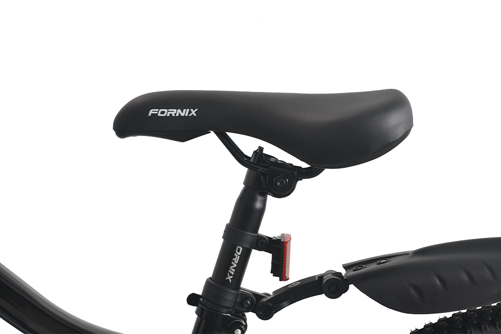 Xe Đạp Trẻ Em Fornix NX20 20 inch Màu Đen - Xanh lá