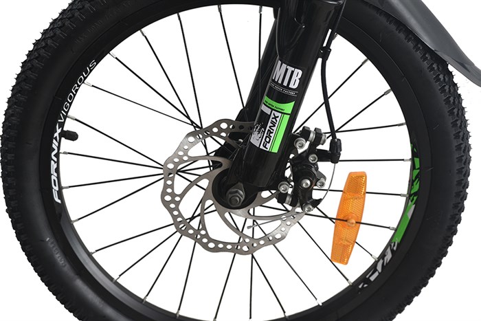 Xe Đạp Trẻ Em Fornix NX20 20 inch Màu Đen - Xanh lá